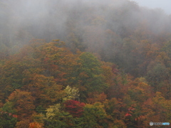 撮って出し(2025-10-26_14-02)-(E-M5-52(OLYMPUS