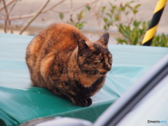 撮って出し-E-M5-150.0-41_01_19-4