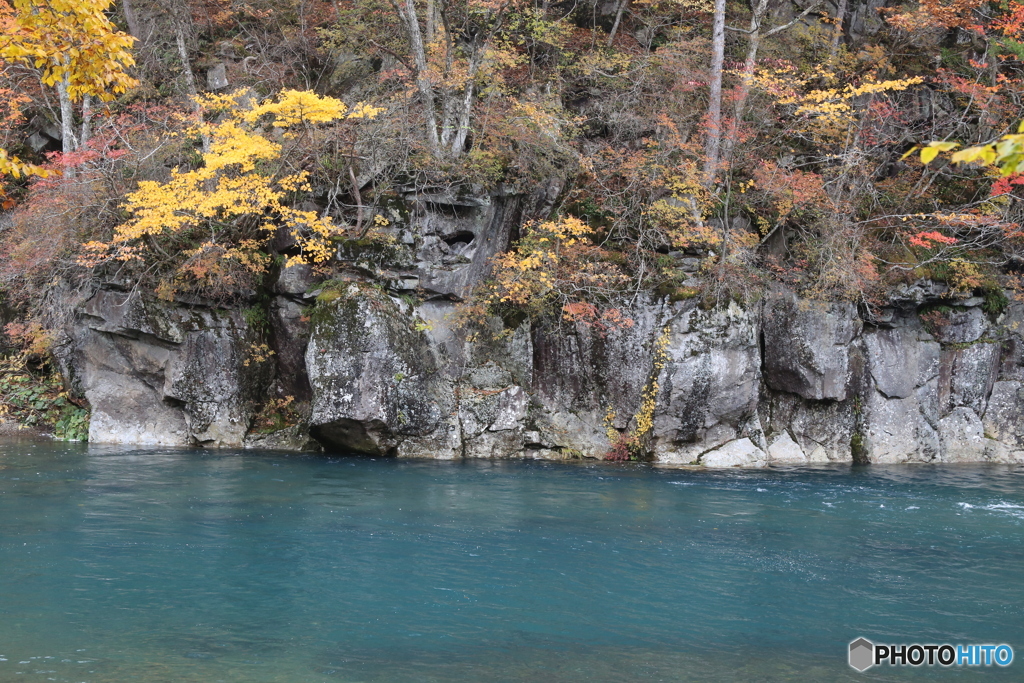撮って出し(2025-11-04_12-59)-(Canon EOS 6D-60