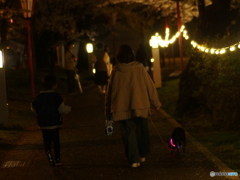 撮って出し(2025-04-18_18-48)-(E-M5-0())