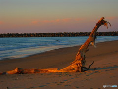 20111020_164612_IMG_2991