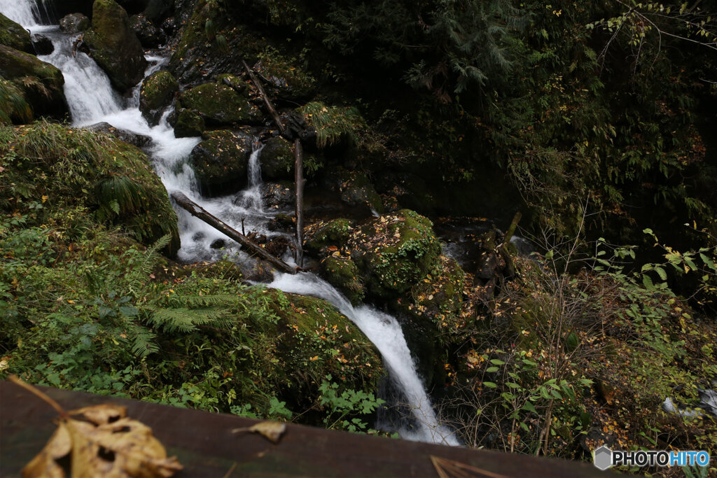 撮って出し(2025-11-07_13-08)-(Canon EOS 6D-24