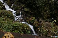 撮って出し(2025-11-07_13-08)-(Canon EOS 6D-24