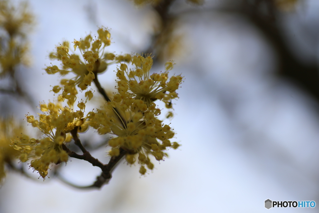 撮って出し(2025-04-07_12-03)-(Canon EOS 6D-90