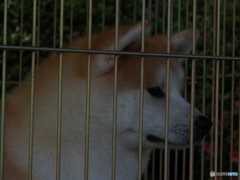 撮って出し-E-M5-70.0-23_06_18-1