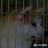 撮って出し-E-M5-70.0-23_06_18-1
