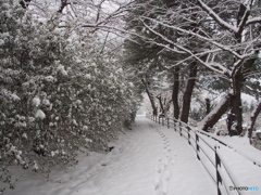 撮って出し(2024-02-22_07-35)-(E-M5-16(OLYMPUS