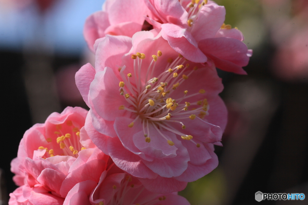 撮って出し-Canon EOS 60D-90.0-41_03_27-2