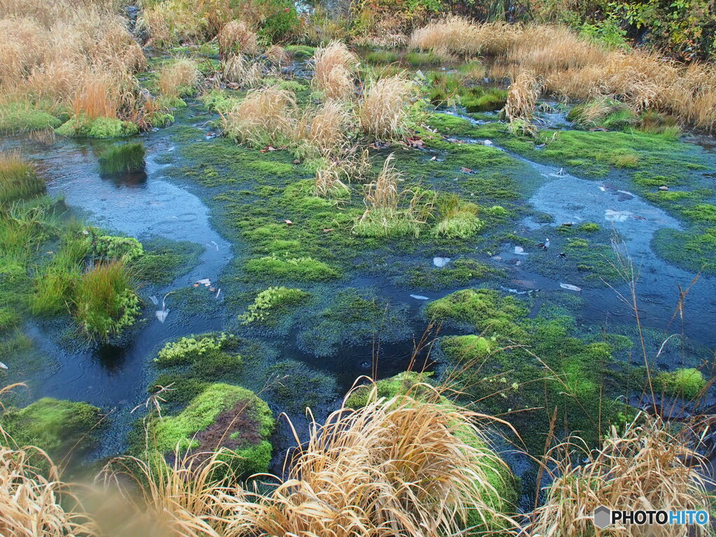 撮って出し-E-M5-17.0-23_10_15_PA155579-0