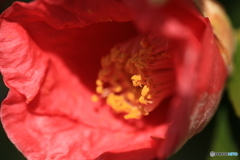 撮って出し(2024-04-08_11-02)-(Canon EOS 6D-90