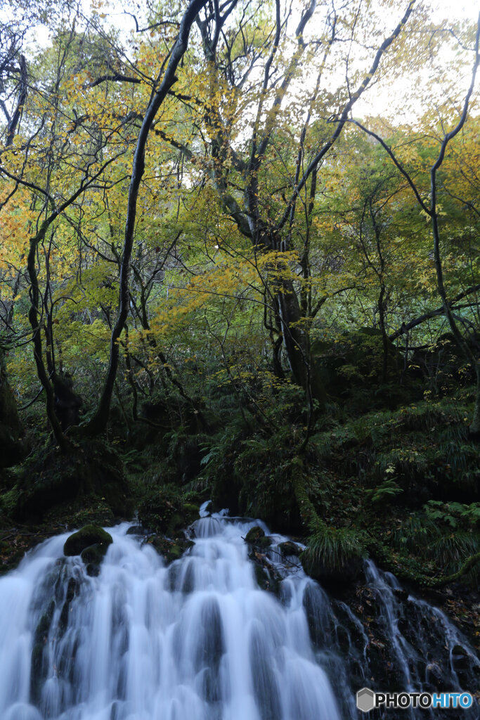 撮って出し(2025-11-04_07-07)-(Canon EOS 6D-28