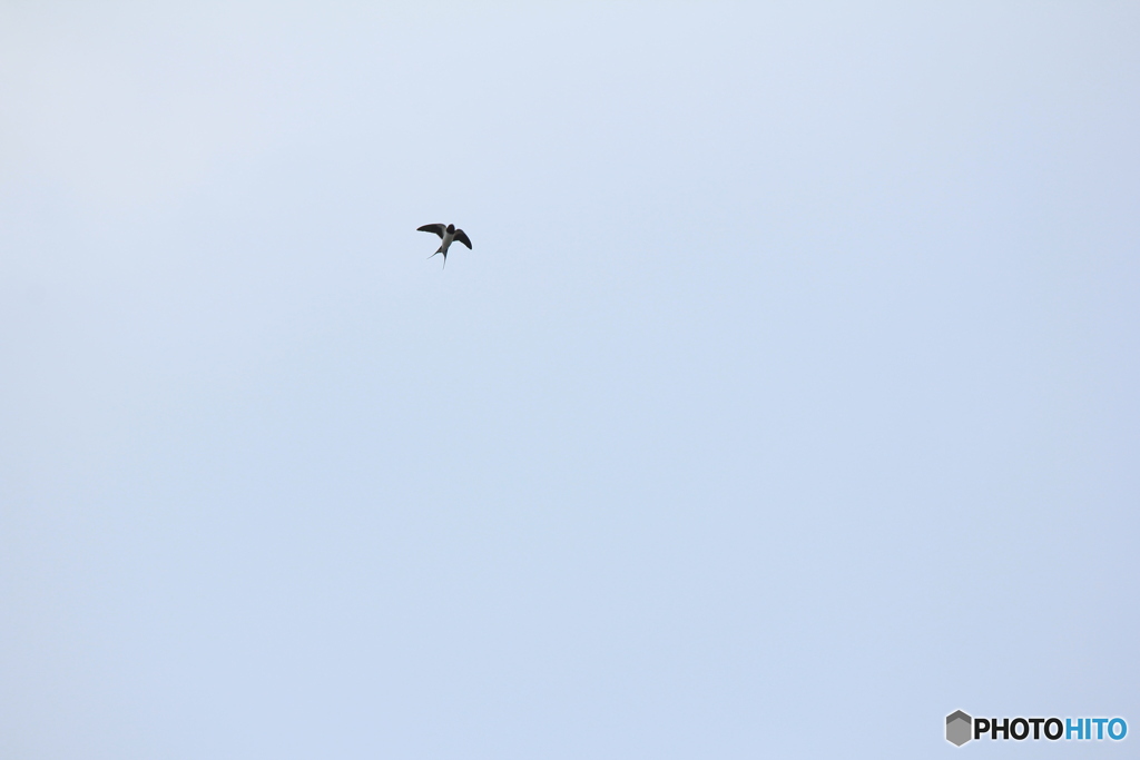 撮って出し(2025-04-18_09-13)-(Canon EOS 60D-2
