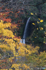 撮って出し(2025-11-07_13-24)-(Canon EOS 6D-13