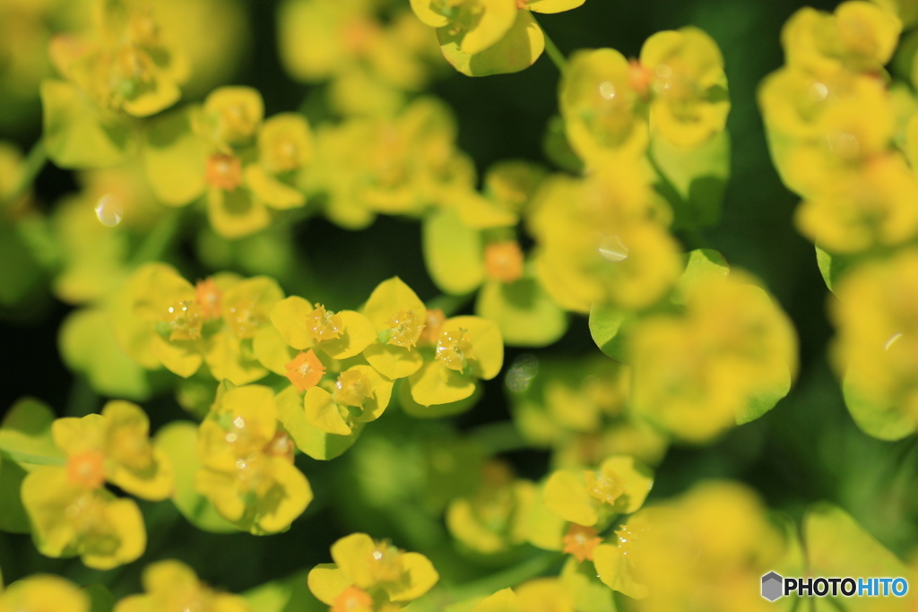 撮って出し-Canon EOS 60D-90.0-23_05_17-0