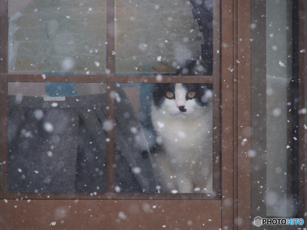 撮って出し(2025-01-17_10-53)-(E-M5-150(OLYMPU