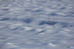 撮って出し(2025-01-13_09-37)-(Canon EOS 60D-2