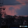 撮って出し(2024-04-20_18-12)-(E-M5-0())