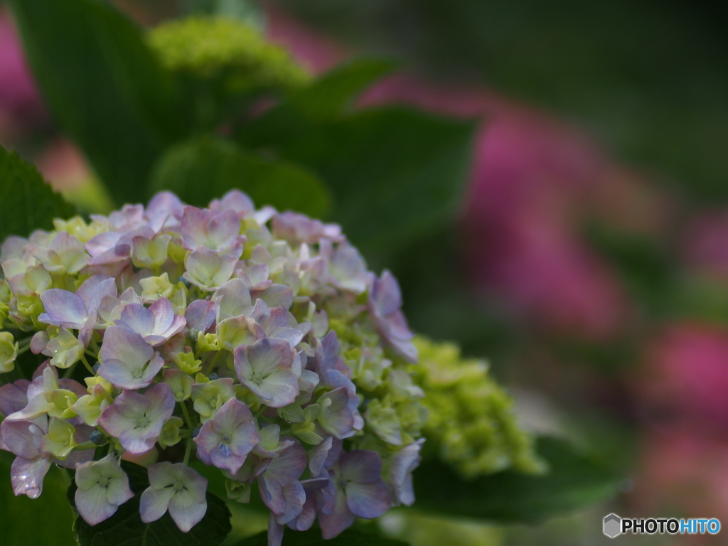 撮って出し-E-M5-0.0-23_06_23-0