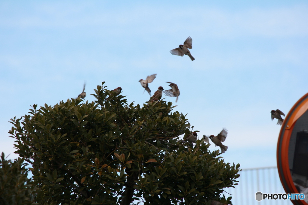 撮って出し-Canon EOS 60D-250.0-41_02_23-0