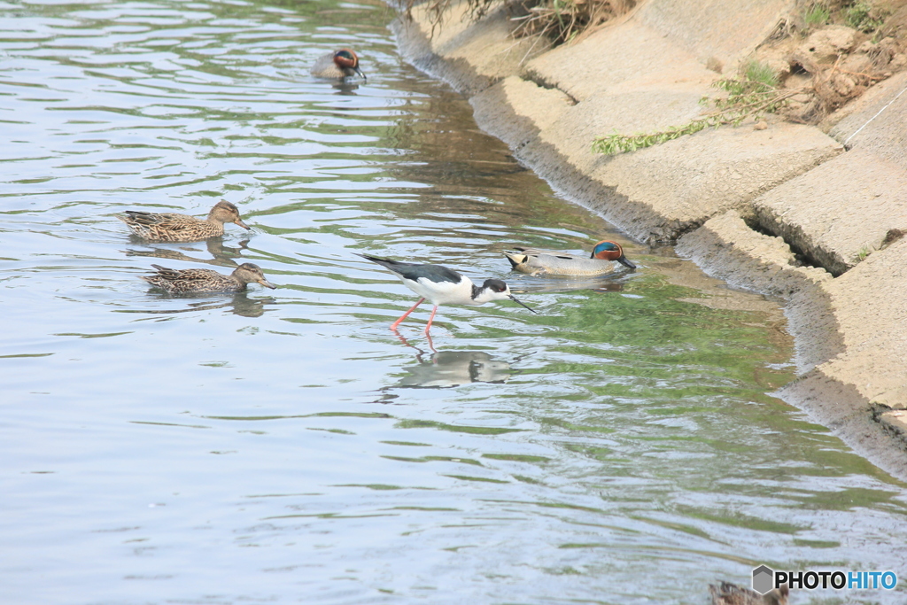 撮って出し(2025-04-27_12-29)-(Canon EOS 60D-2