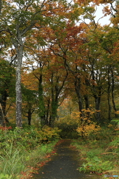 撮って出し-Canon EOS 6D-41.0-23_10_16_IMG_633
