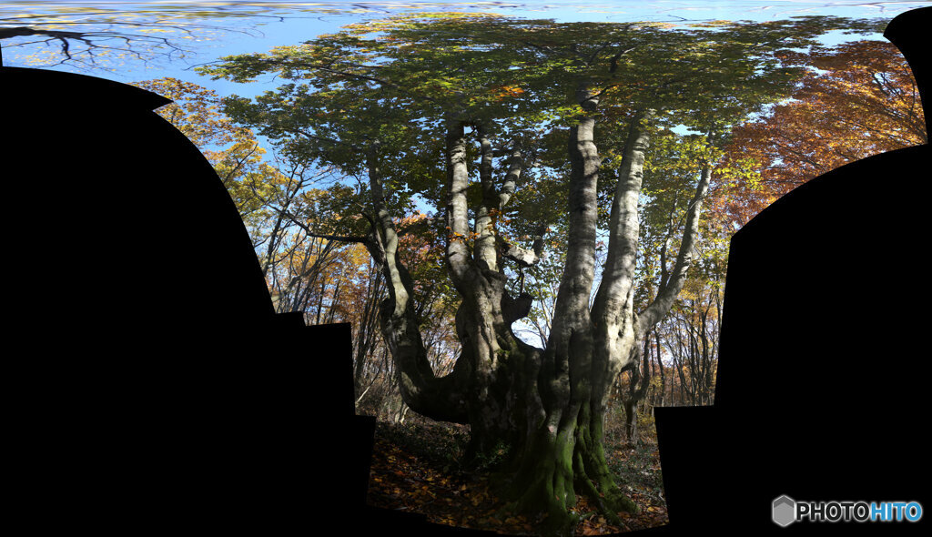 パノラマ合成　(2025-11-04_09-09)(Canon EOS 6D