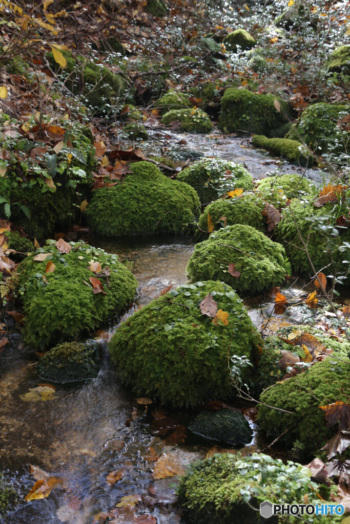 撮って出し(2025-11-04_10-30)-(Canon EOS 6D-47