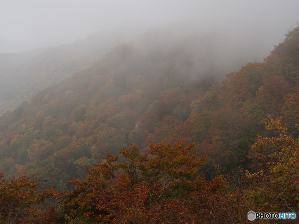 撮って出し(2025-10-26_14-03)-(E-M5-45(OLYMPUS
