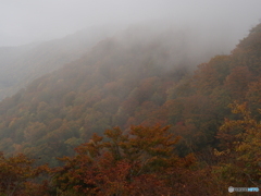 撮って出し(2025-10-26_14-03)-(E-M5-45(OLYMPUS