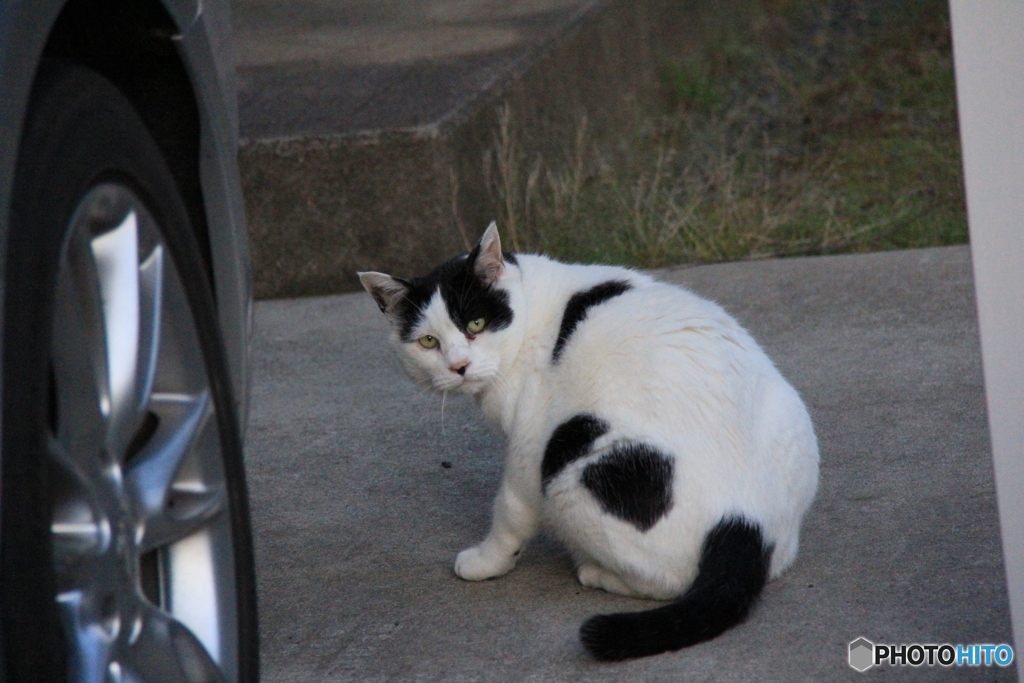 撮って出し(2025-06-06_18-40)-(Canon EOS 60D-2
