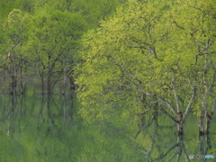 撮って出し-E-M5-120.0-41_04_23-0