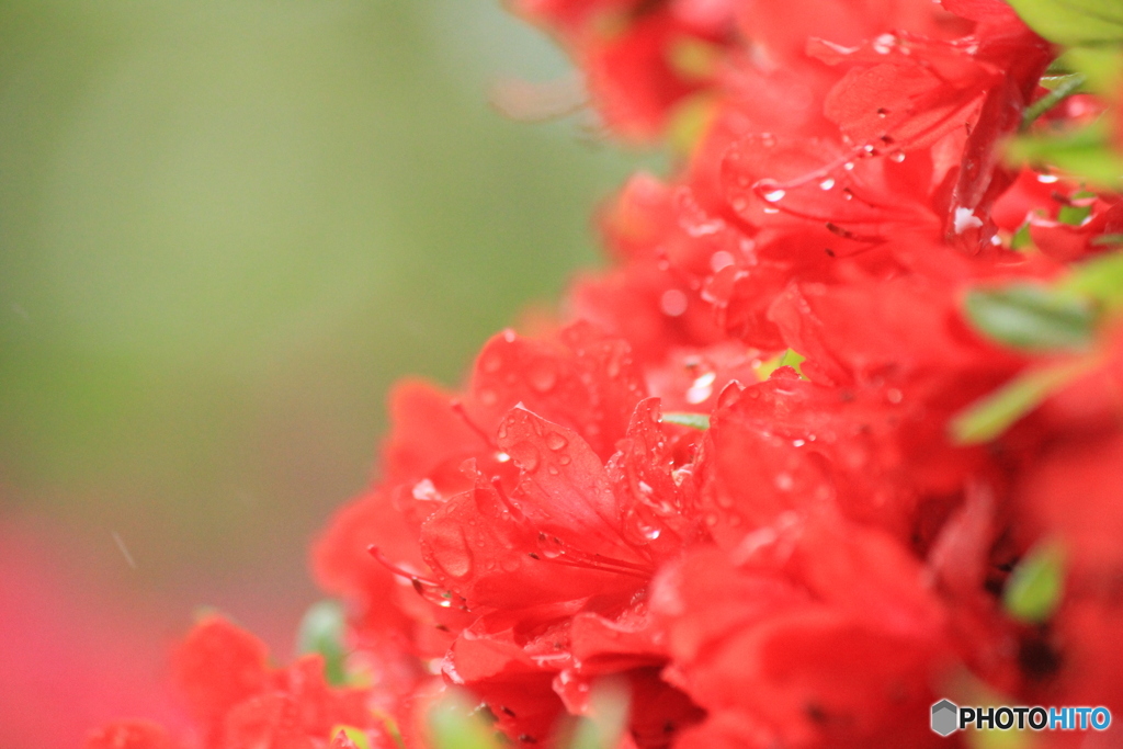 撮って出し(2025-05-11_10-21)-(Canon EOS 60D-2