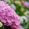 撮って出し-E-M5-150.0-23_06_23-0