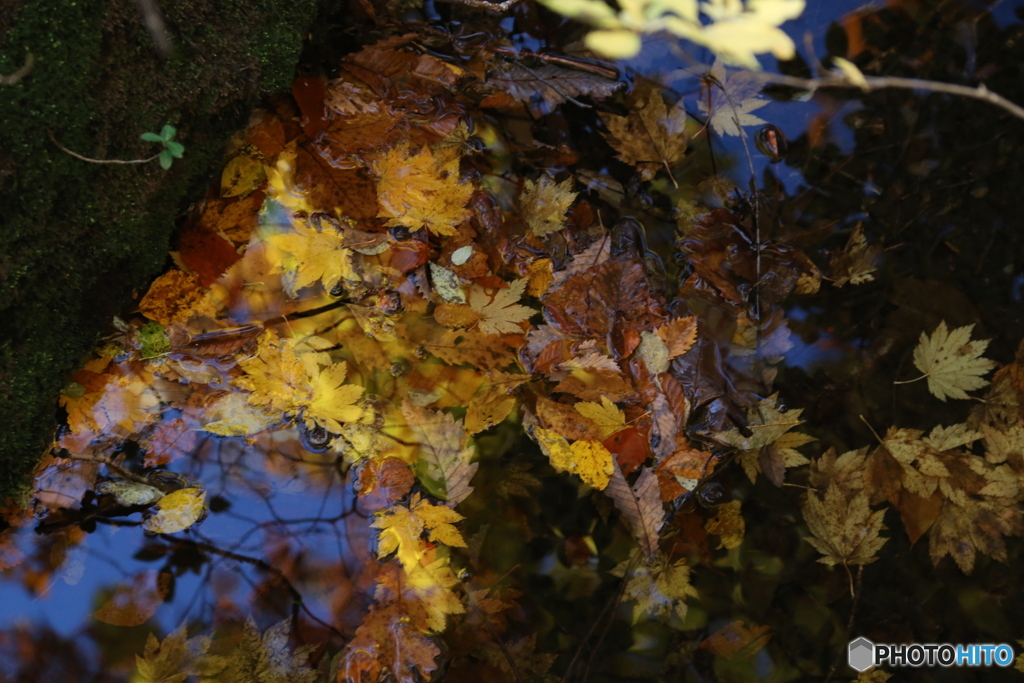 撮って出し(2025-11-04_09-19)-(Canon EOS 6D-13