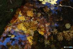 撮って出し(2025-11-04_09-19)-(Canon EOS 6D-13