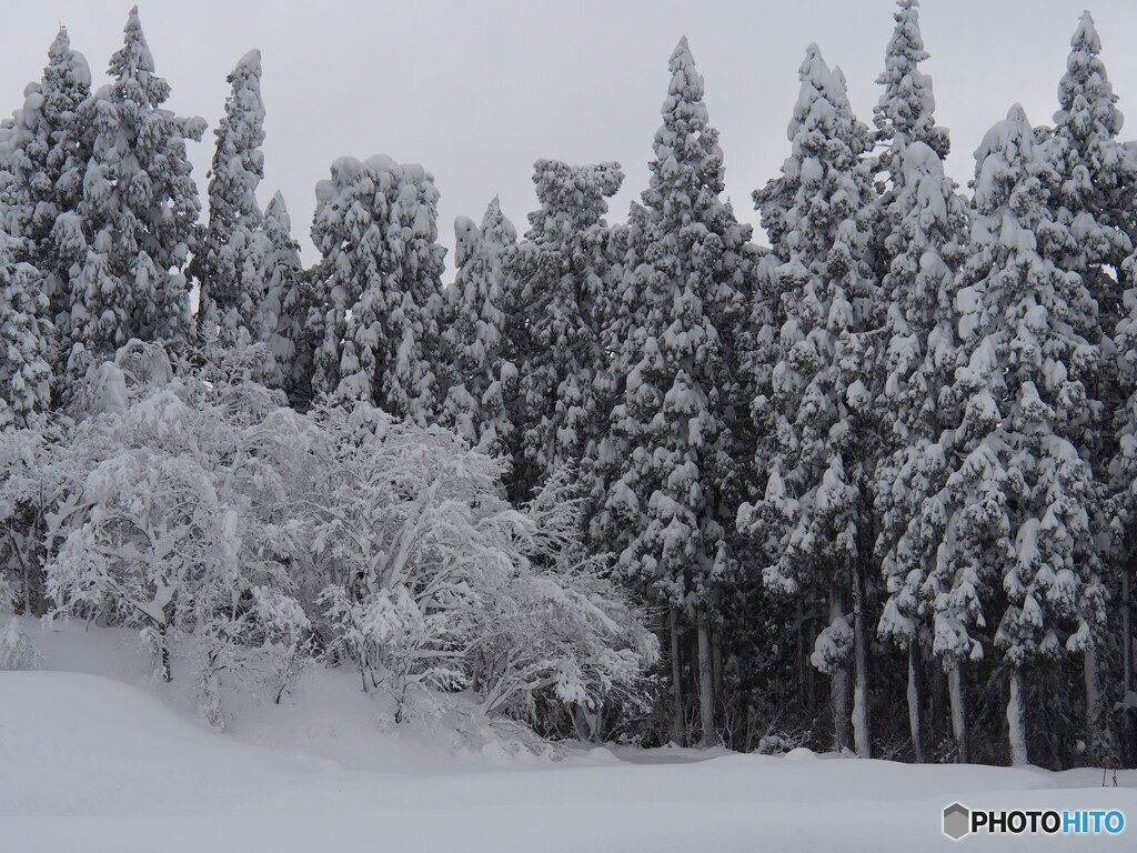撮って出し-E-M5-54.0-40_12_20-0