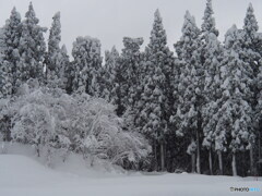 撮って出し-E-M5-54.0-40_12_20-0