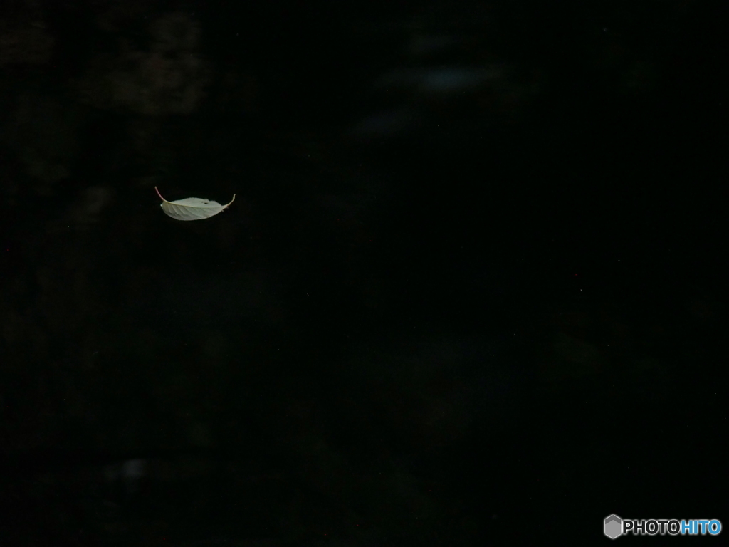 撮って出し-E-M5-150.0-23_06_25-3