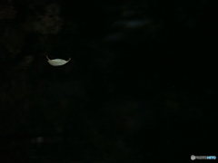 撮って出し-E-M5-150.0-23_06_25-3