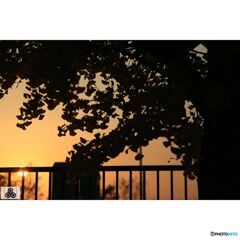 撮って出し(2023-11-03_16-13)-135-EF28-135mm f