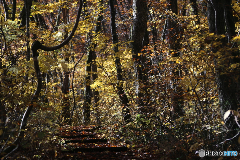 撮って出し(2025-11-04_08-31)-(Canon EOS 6D-13