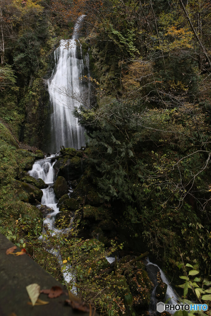 撮って出し(2025-11-07_12-59)-(Canon EOS 6D-24