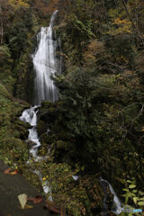 撮って出し(2025-11-07_12-59)-(Canon EOS 6D-24