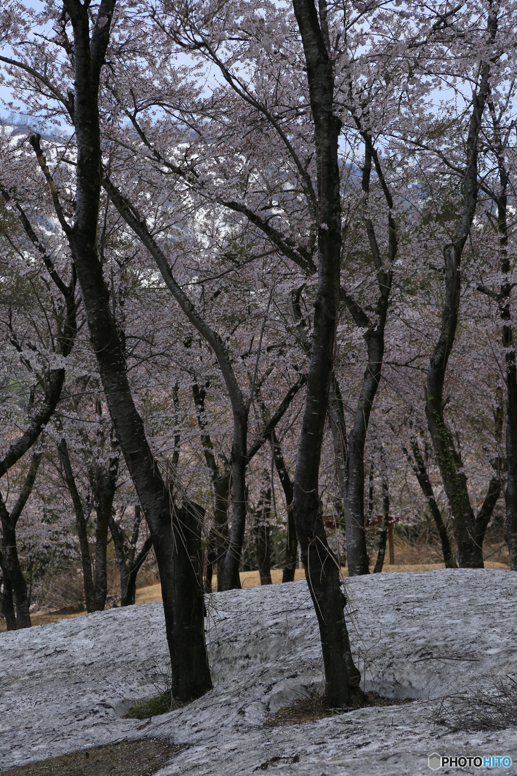 撮って出し-Canon EOS 6D-135.0-41_04_24-12