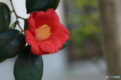 撮って出し-Canon EOS 60D-90.0-41_03_30-7