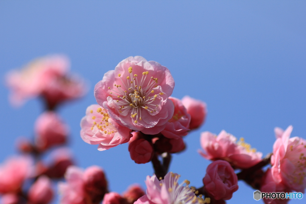 撮って出し-Canon EOS 60D-90.0-41_03_27-3