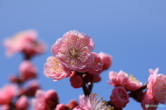 撮って出し-Canon EOS 60D-90.0-41_03_27-3