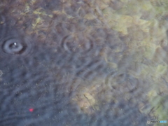 撮って出し-E-M5-150.0-23_10_15_PA155615-0