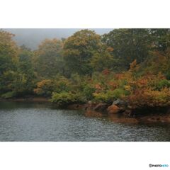 撮って出し(2023-10-16_09-25-24)-EF28-135mm f-