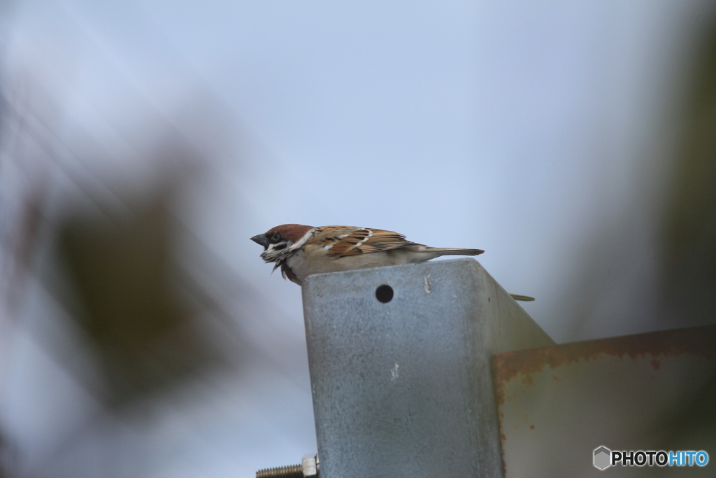 撮って出し(2025-02-25_12-02)-(Canon EOS 60D-2